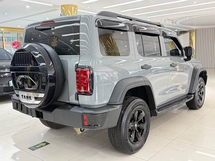 Фото 6 - Tank 300