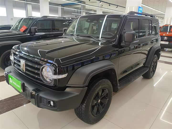 Фото 2 - Tank 300