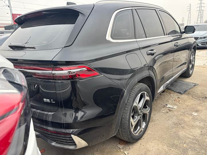 Фото 6 - Geely Monjaro