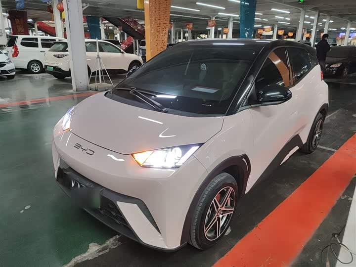 Фото 2 - BYD Seagull