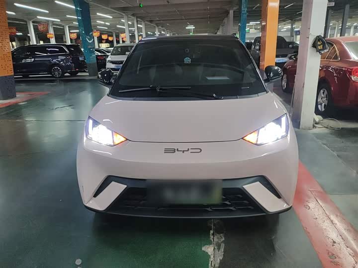 Фото 3 - BYD Seagull