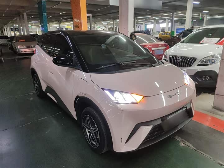 Фото 4 - BYD Seagull