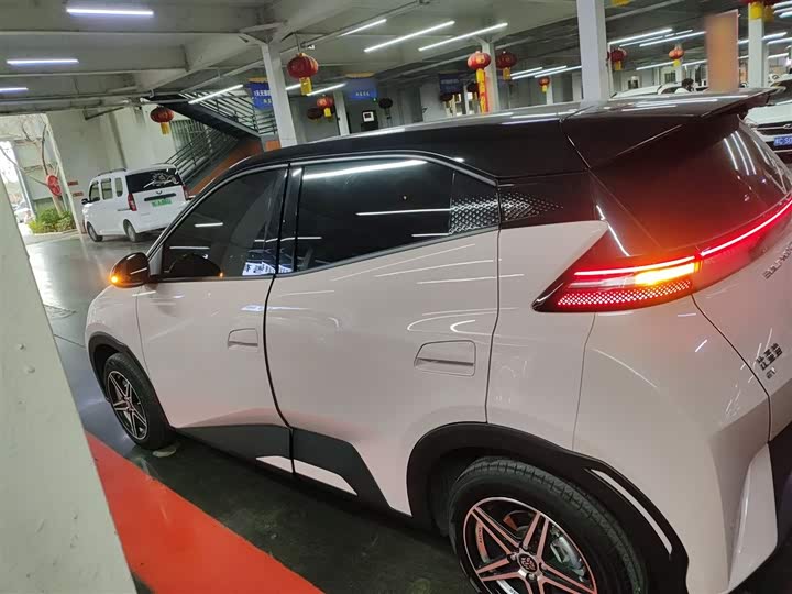 Фото 5 - BYD Seagull