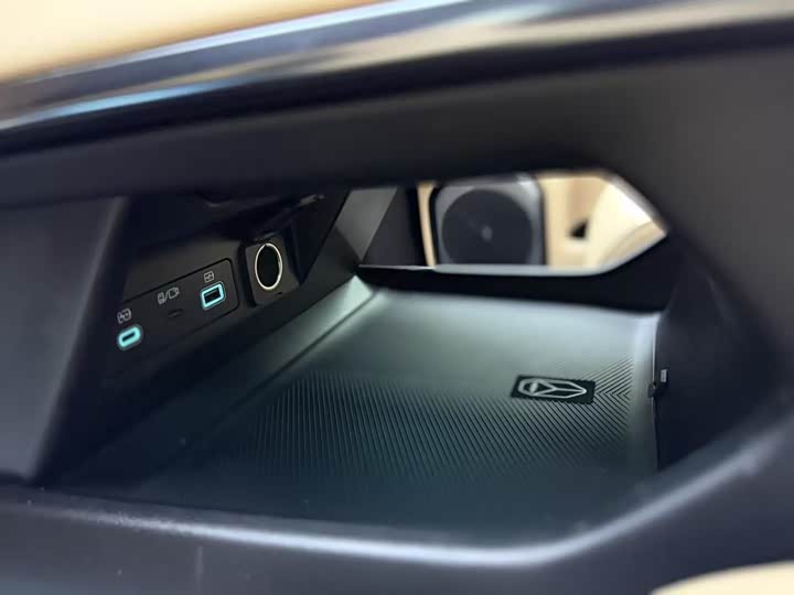 Фото 9 - BYD FangChengBao Leopard 8