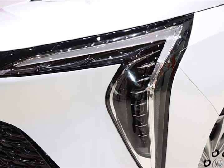 Фото 7 - Buick GL8 Century