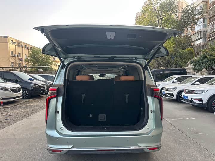 Фото 9 - Maxus Mifa 9