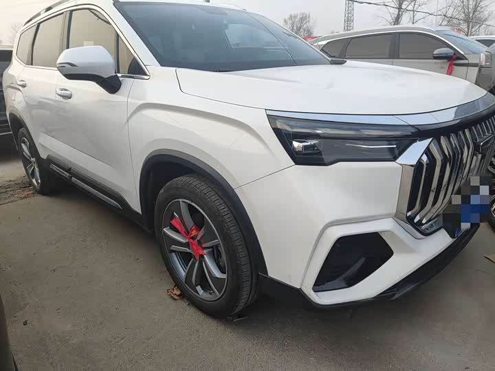 Фото 3 - Geely Okavango L