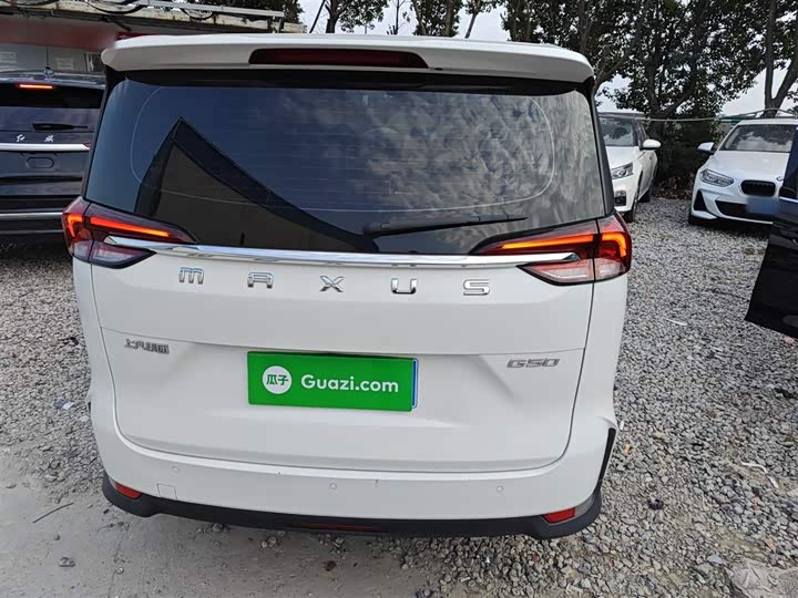 Фото 5 - Maxus G50