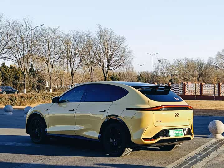 Фото 3 - IM motors LS7