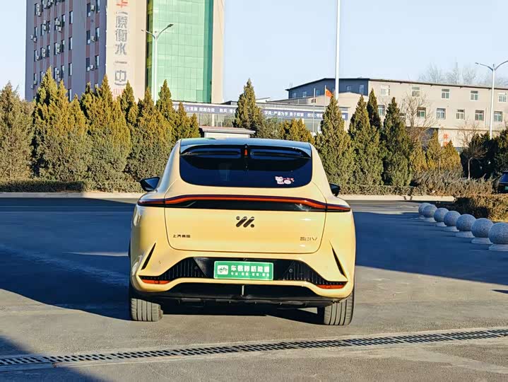 Фото 4 - IM motors LS7