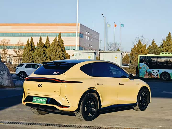 Фото 5 - IM motors LS7