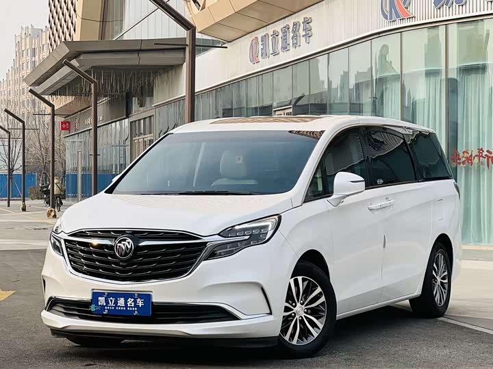 Фото 1 - Buick GL8 ES