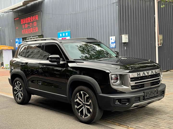 Фото 3 - Haval Dargo