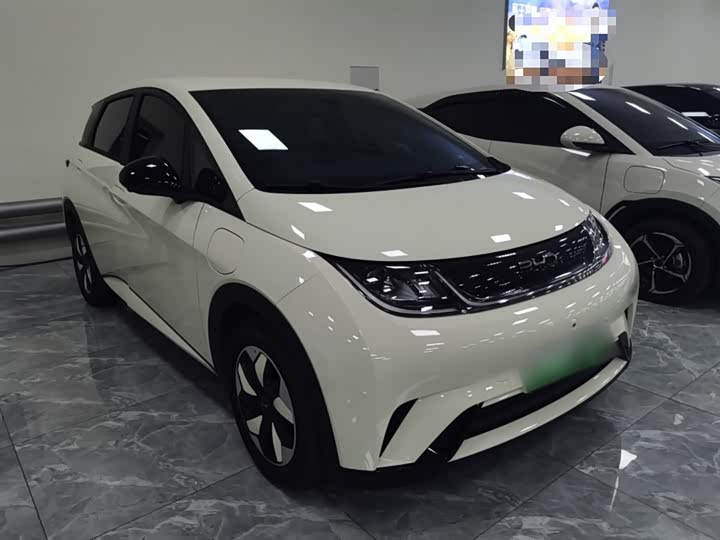 Фото 4 - BYD Dolphin