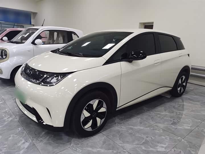 Фото 5 - BYD Dolphin