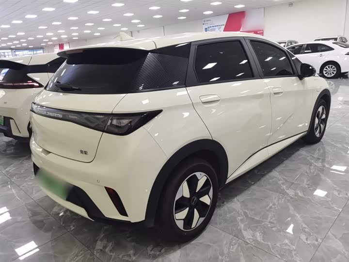 Фото 7 - BYD Dolphin