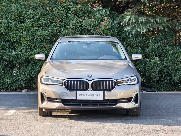 Фото 2 - BMW 5 Series Hybrid