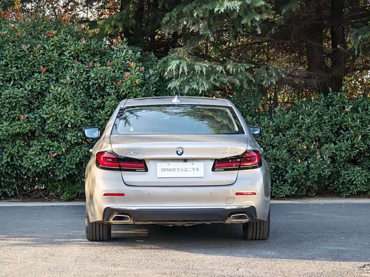 Фото 4 - BMW 5 Series Hybrid