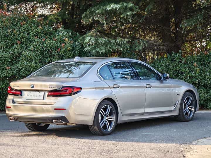 Фото 5 - BMW 5 Series Hybrid