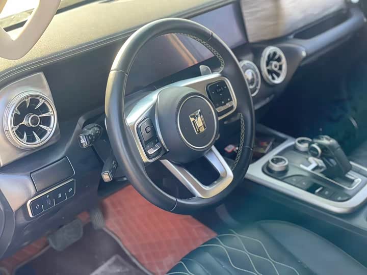 Фото 5 - Tank 300