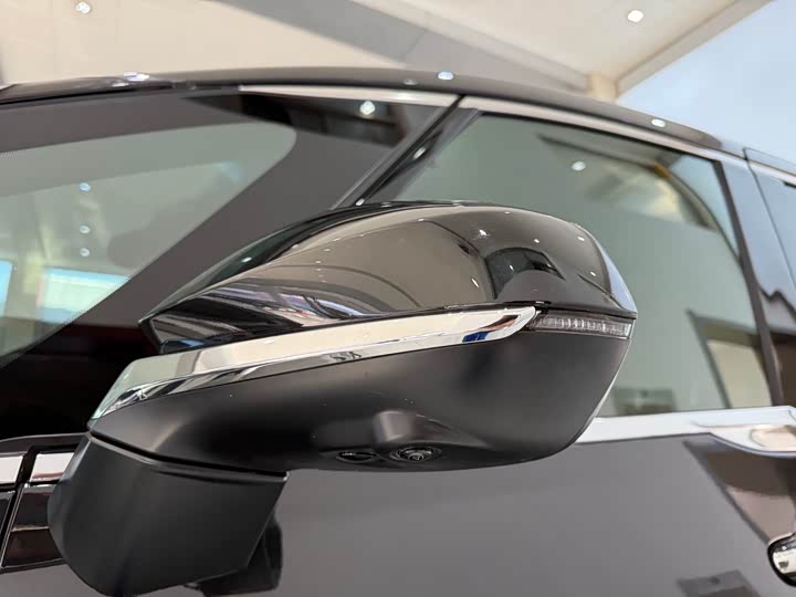 Фото 3 - Lexus LM