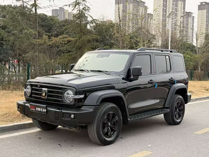 Фото 3 - Tank 300