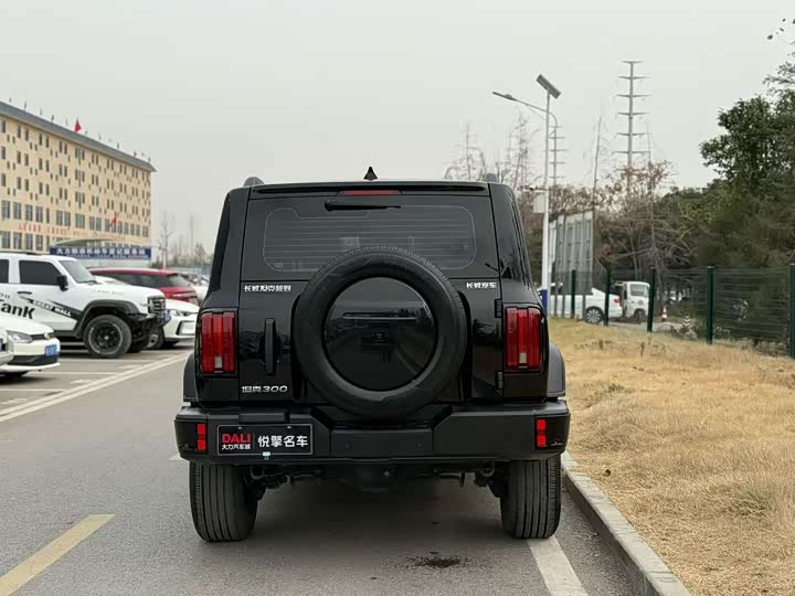 Фото 8 - Tank 300