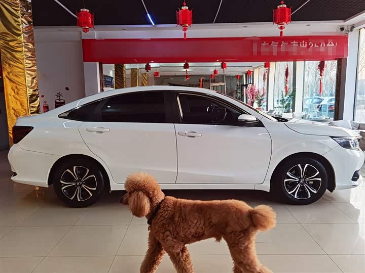 Фото 7 - Honda Crider