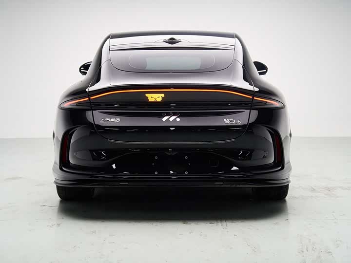 Фото 7 - IM motors L6