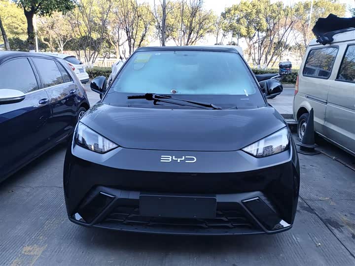 Фото 3 - BYD Seagull