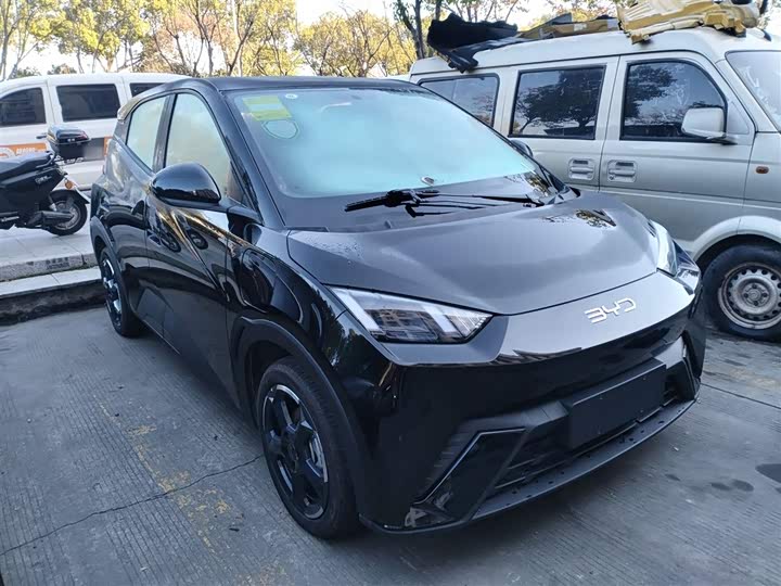 Фото 4 - BYD Seagull