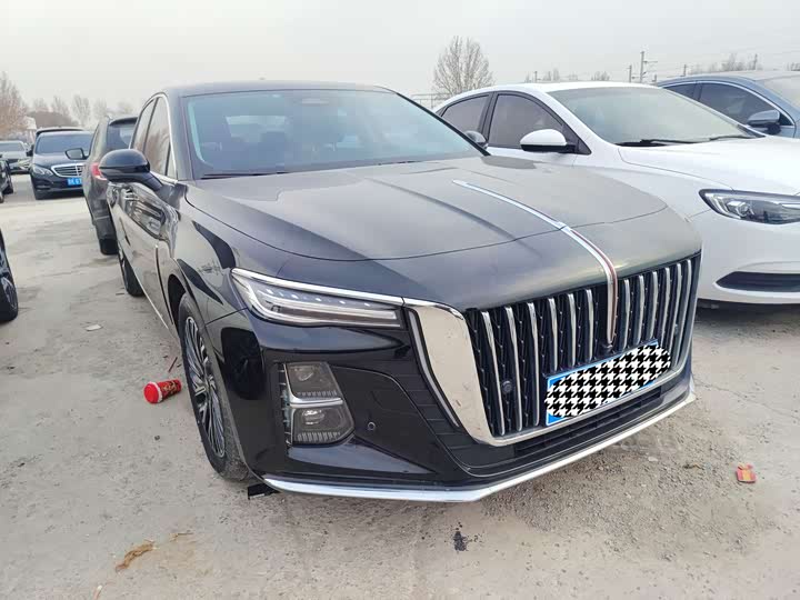 Фото 3 - Hongqi H5