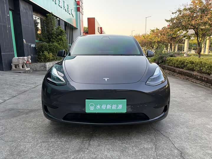 Фото 2 - Tesla Model Y