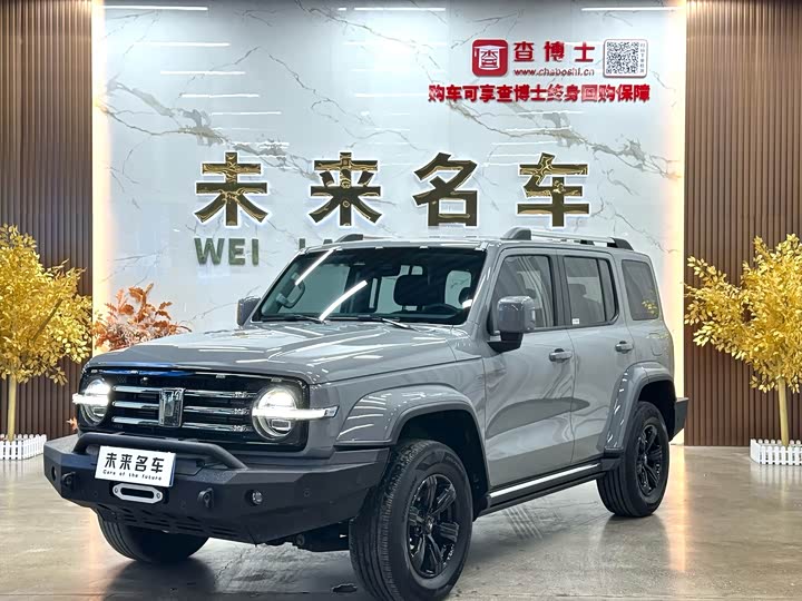 Фото 1 - Tank 300