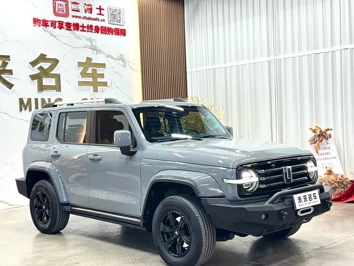 Фото 3 - Tank 300