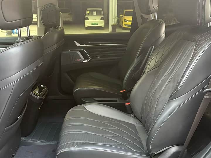 Фото 5 - Maxus Territory