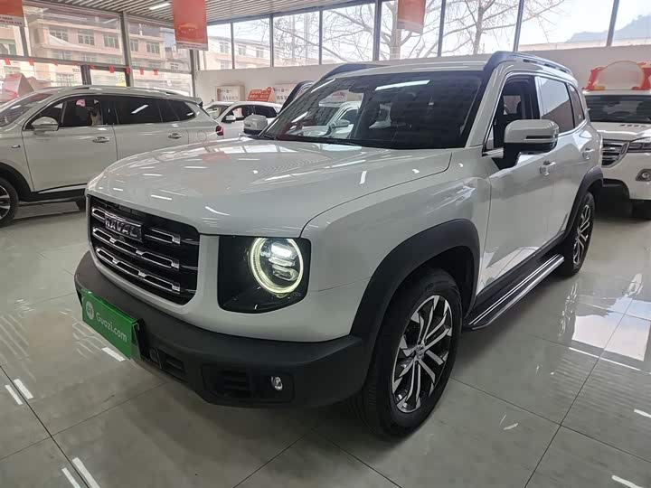 Фото 2 - Haval Dargo