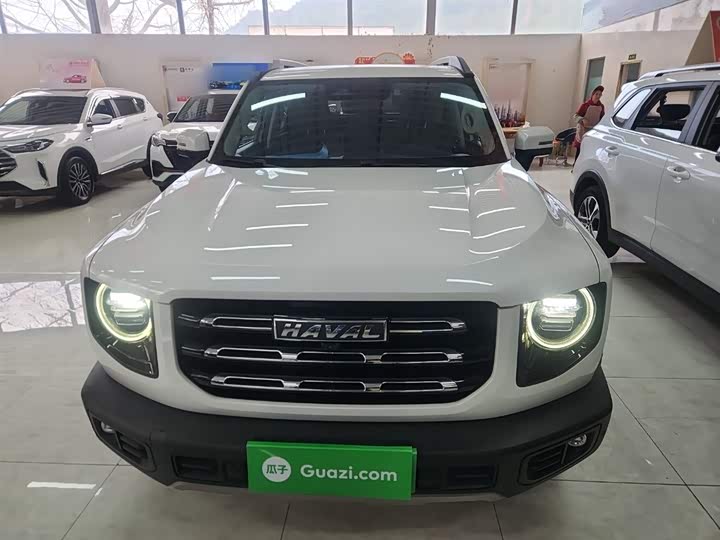 Фото 3 - Haval Dargo