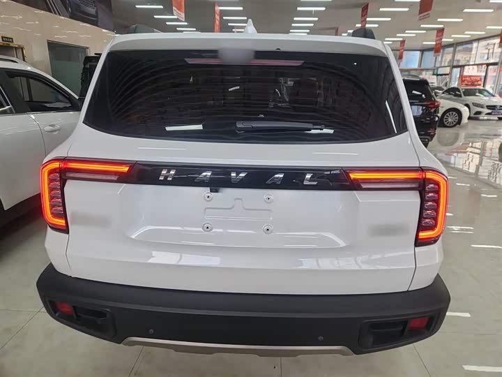 Фото 6 - Haval Dargo