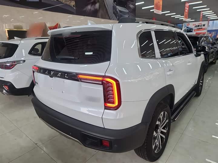 Фото 7 - Haval Dargo