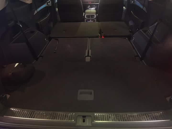 Фото 4 - Volkswagen Talagon