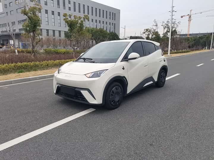 Фото 1 - BYD Seagull