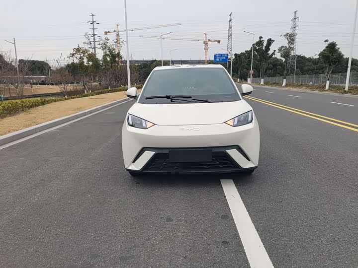 Фото 2 - BYD Seagull