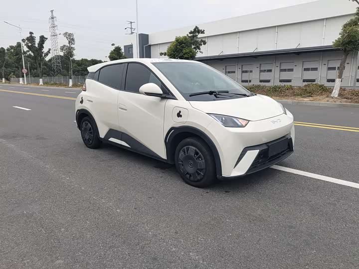 Фото 3 - BYD Seagull