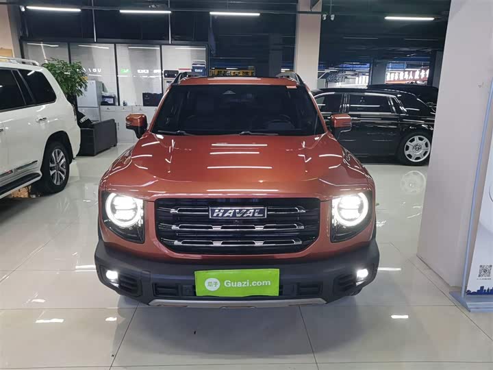 Фото 3 - Haval Dargo