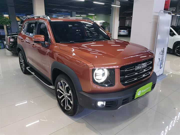 Фото 4 - Haval Dargo