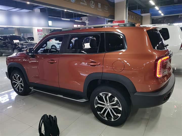 Фото 5 - Haval Dargo