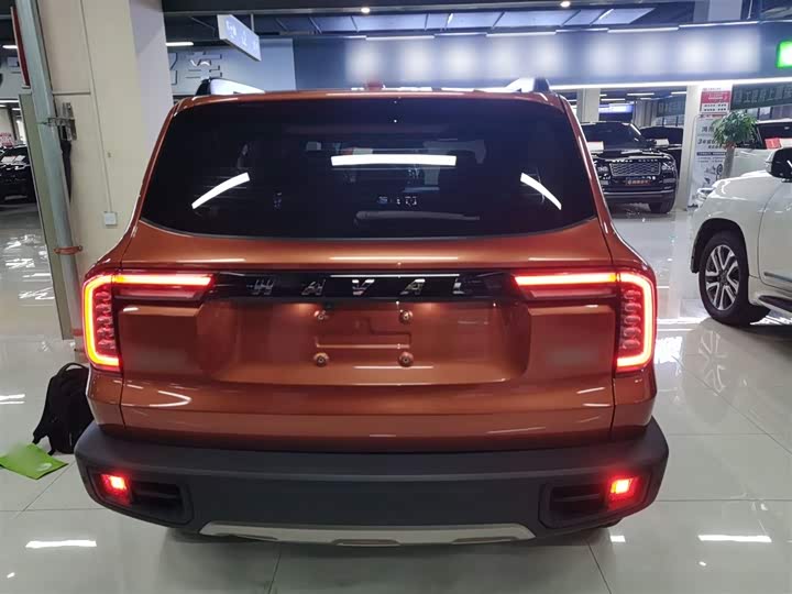 Фото 6 - Haval Dargo