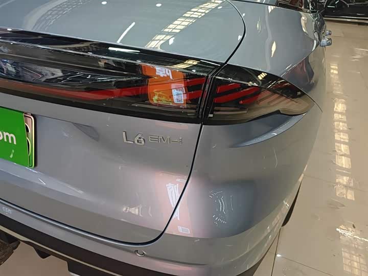 Фото 8 - Geely Galaxy L6