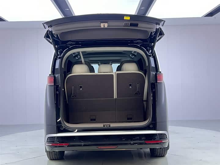 Фото 9 - Denza D9